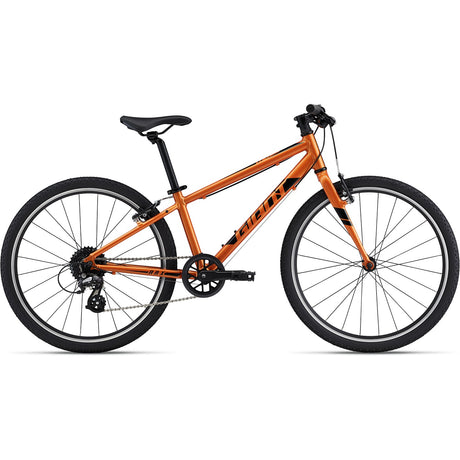 ARX 24 Metallic Orange
