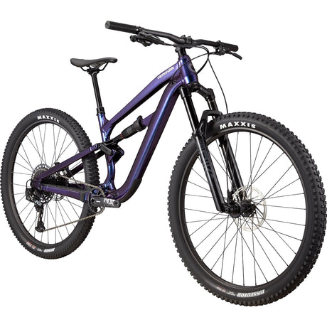 Habit 3 Purple Haze