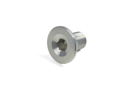 Kurbel-Endschraube - silber