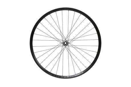 Fortus 30W Pro 5 CL Disc Vorderrad 29 Zoll 15 x 110 mm - silber