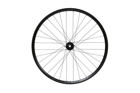 Fortus 30W Pro 5 Disc Vorderrad 29 Zoll 15 x 110 mm - Schwarz