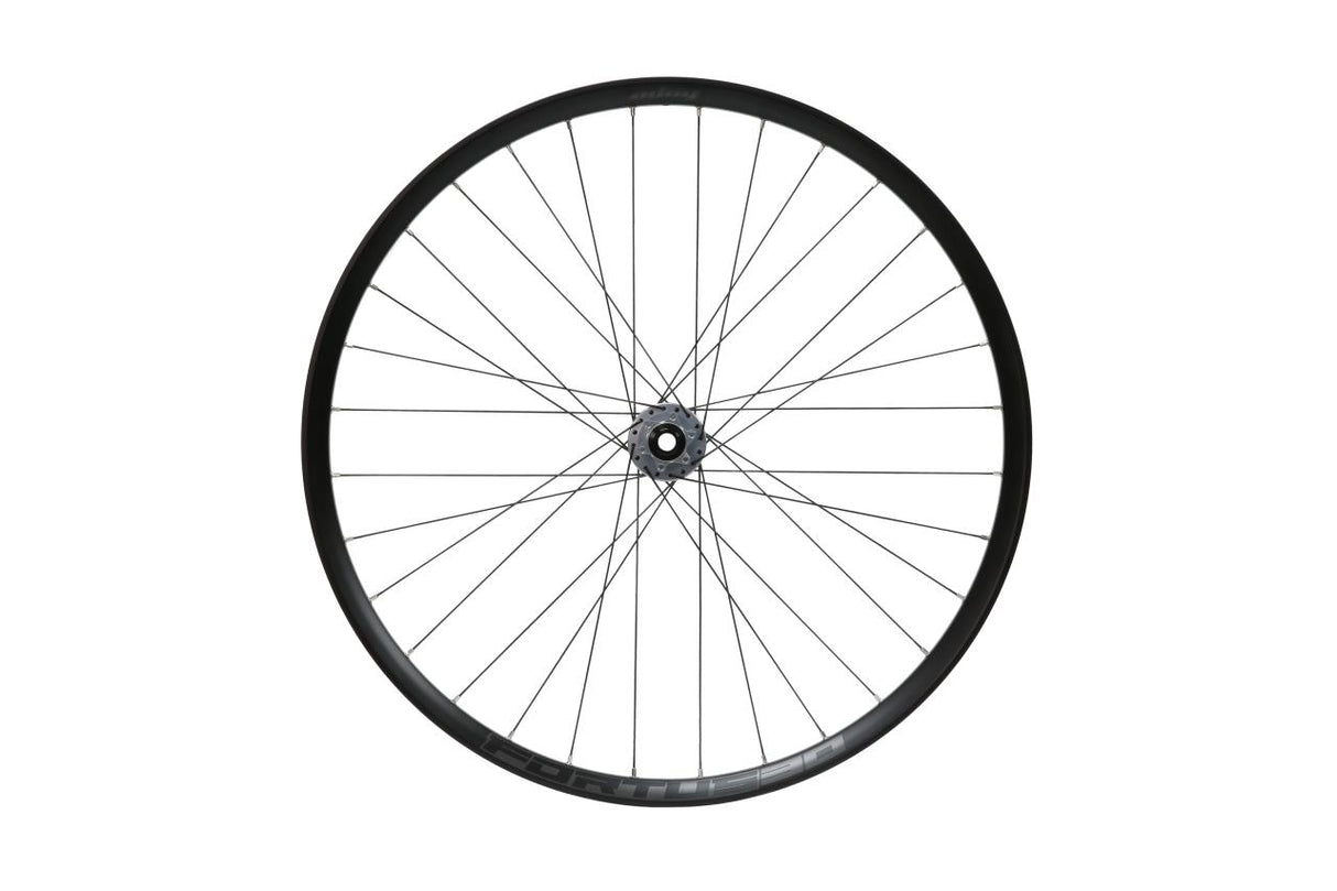 Fortus 30W Pro 5 Disc Vorderrad 29 Zoll 15 x 110 mm - silber