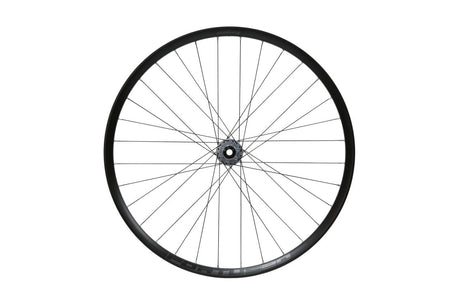 Fortus 30W Pro 5 Disc Vorderrad 29 Zoll 15 x 110 mm - silber