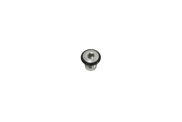 Thru Axle Bolt - UDH - silber