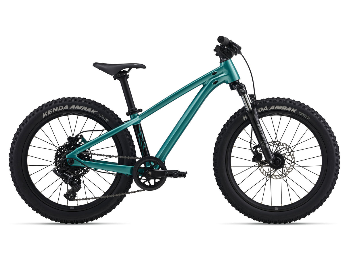 STP 20 FS - Teal