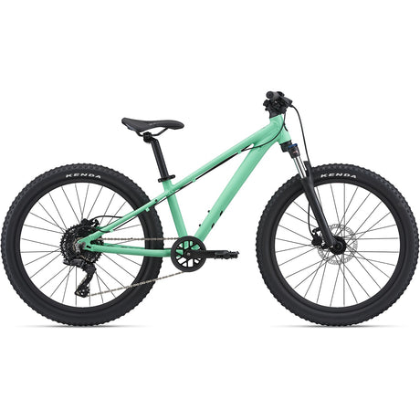 STP 24 FS Neo Mint