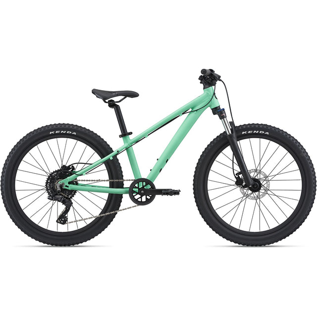 STP 24 FS Neo Mint