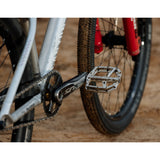 Trail ROC Plus Fahrradpedale - silver