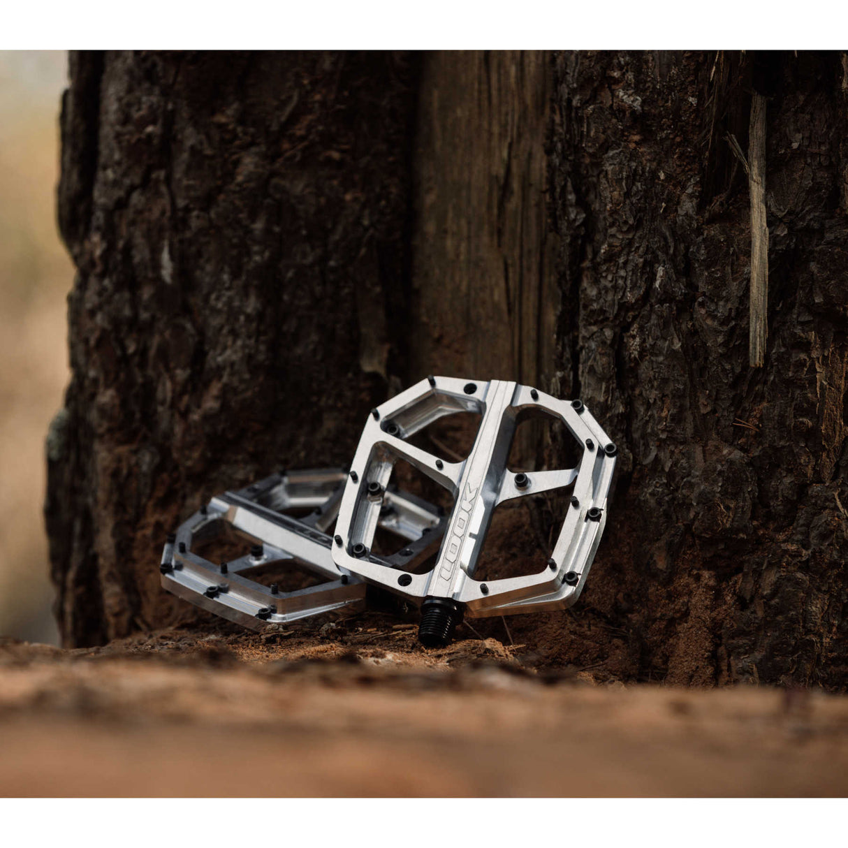 Trail ROC Plus Fahrradpedale - silver