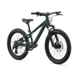 STP 20 FS GIANT