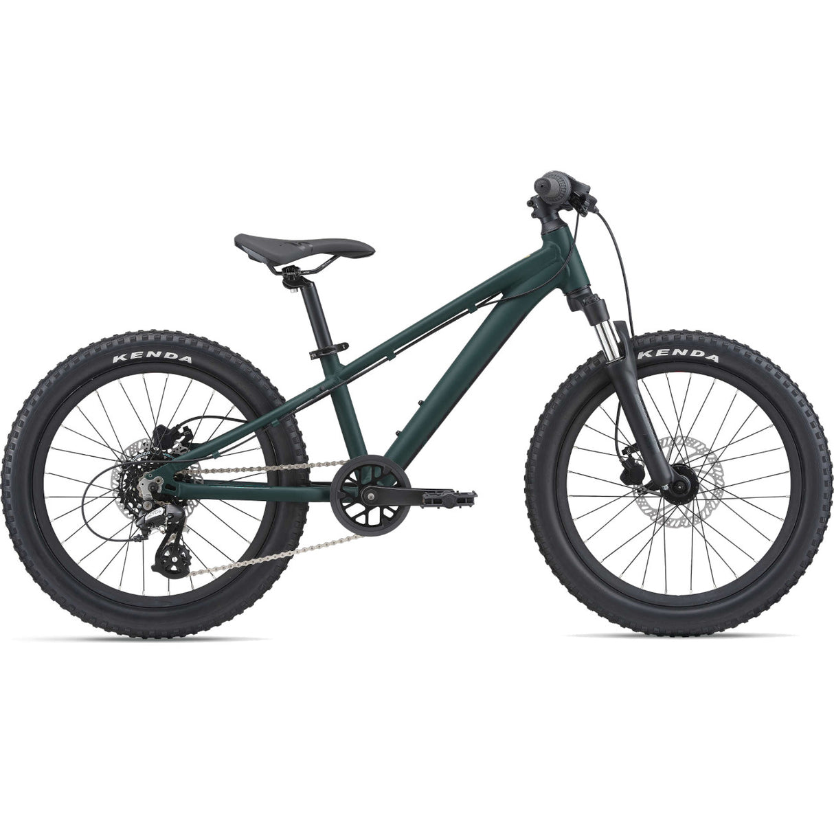 STP 20 FS GIANT