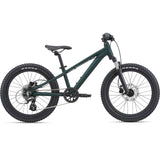 STP 20 FS GIANT