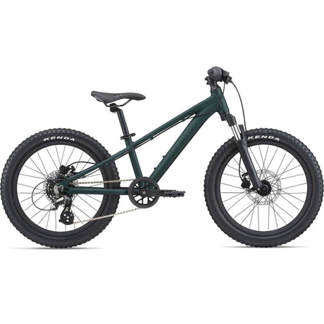 STP 20 FS GIANT