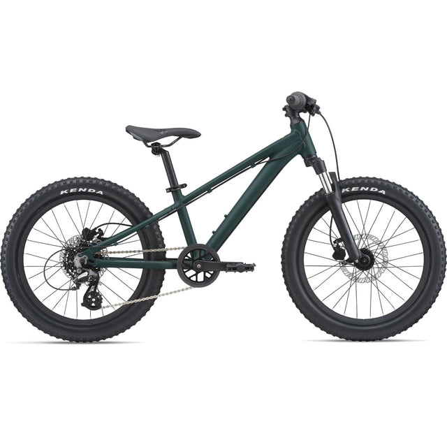 STP 20 FS GIANT
