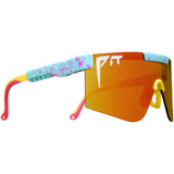The 2000s - Polarized - Playmate
