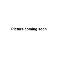 Wangenpolster iXS 100