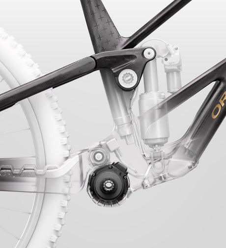 RALLON RS-LTD - Fuel Carbon View/Magic Gold (Matt)