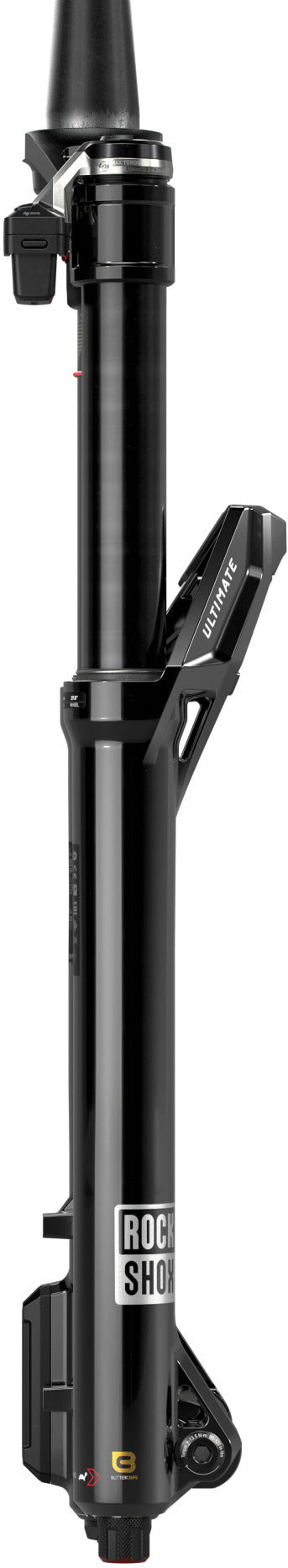 Lyrik Ultimate Flight Attendant C5, 29", 15x110 mm, 160 mm - schwarz