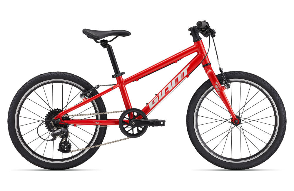 ARX 20 - Phoenix Fire