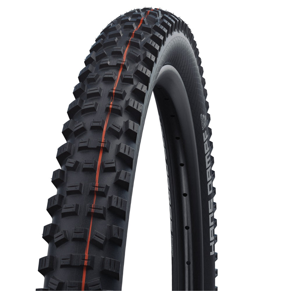 Schwalbe MAGIC MARY 29x2.40 pieghevole E-Bike nero Evolution Line Schwalbe MAGIC MARY 29x2.40 pieghevole E-Bike nero Evolution Line