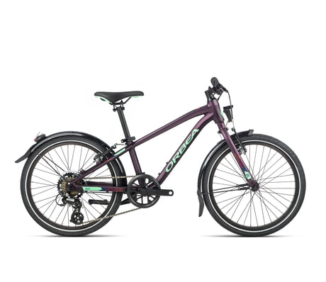 MX 20 Park - Purple (Matt) - Mint (Gloss)