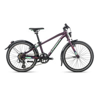 MX 20 Park - Purple (Matt) - Mint (Gloss)