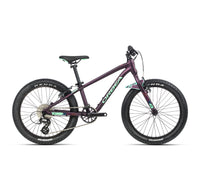 MX 20 Team - Purple (Matt) - Mint (Gloss)