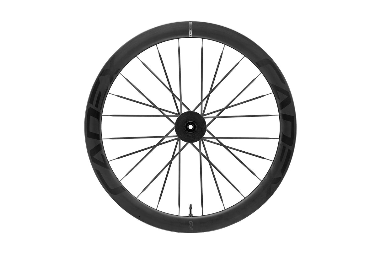 Hinterrad MAX 50 Tubeless Disc, 12 x 142 mm - Shimano HG/Sram XDR