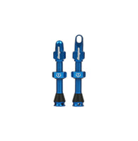 Tubeless Ventile - blau