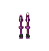 Tubeless Ventile - purple