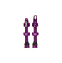 Tubeless Ventile - purple