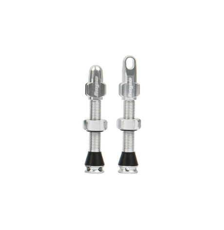 Tubeless Ventile - silber