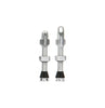 Tubeless valves - silver 