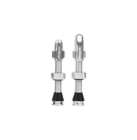 Tubeless Ventile - silber