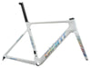 Propel Advanced Pro Frameset - Ray White
