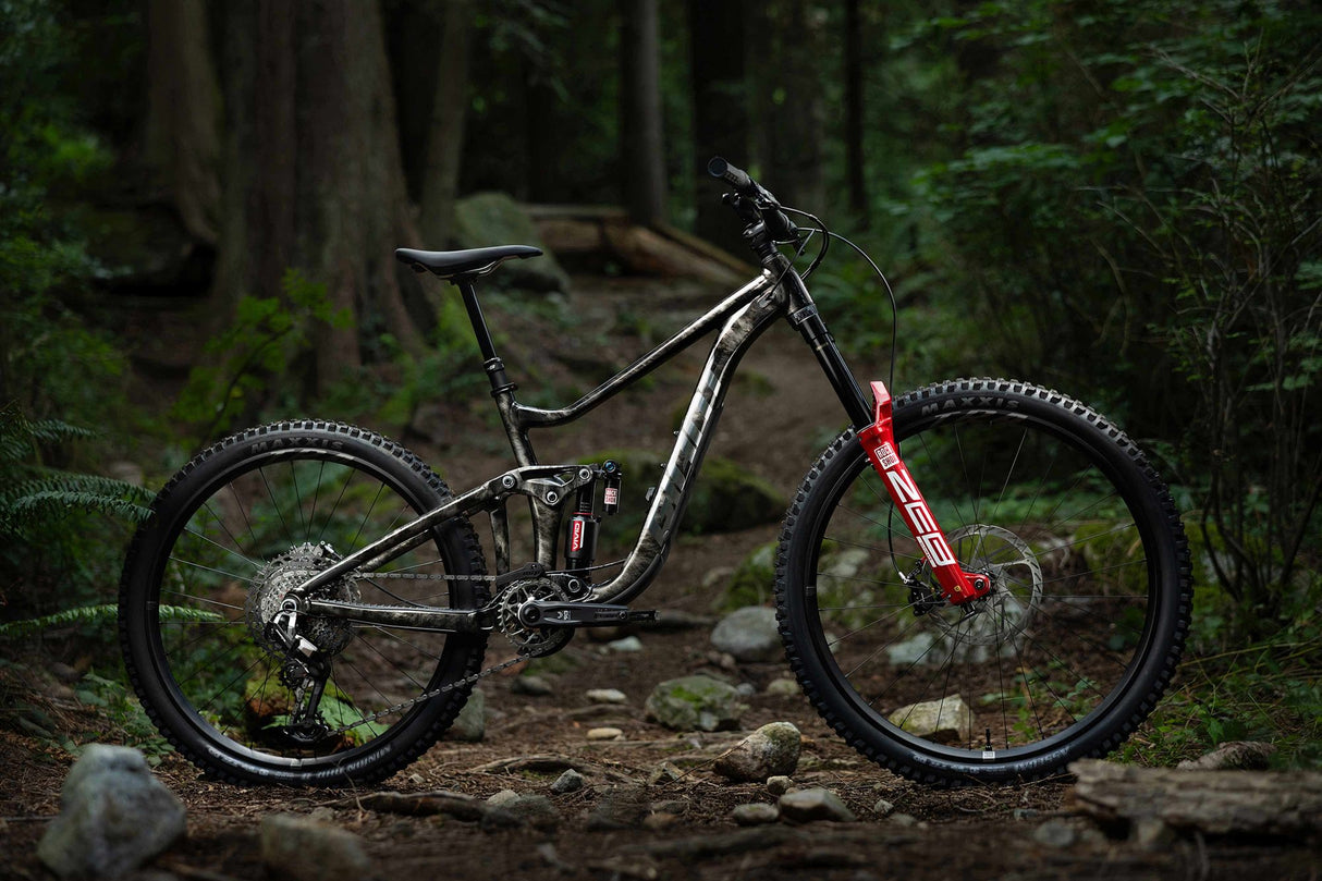 Reign SE - Black Lightning